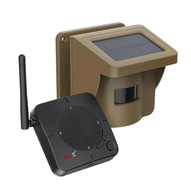 solar driveway alarm for security