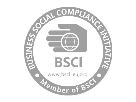  BSCI inspection complété avec succès